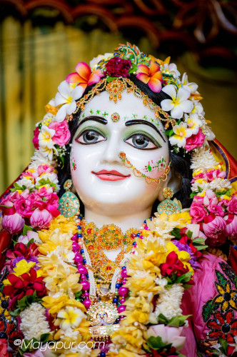 Daily Darshan