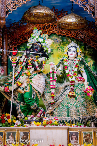 Daily Darshan