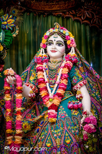 Daily Darshan