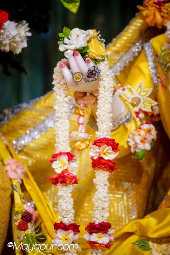 Daily Darshan