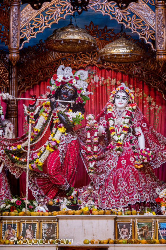 Daily Darshan