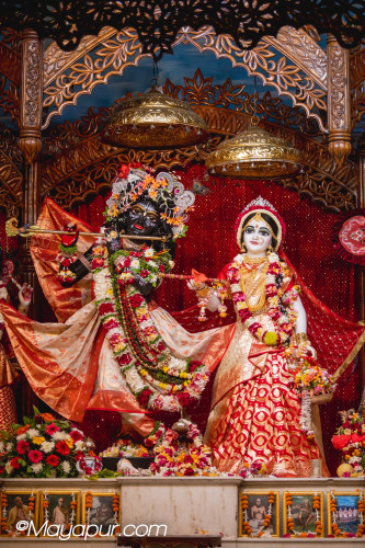 Daily Darshan