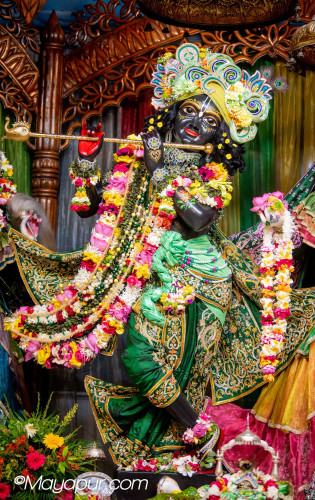 Daily Darshan