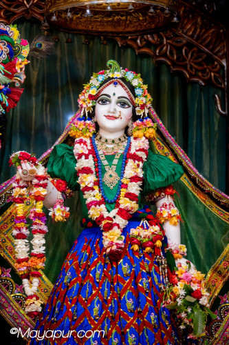 Daily Darshan
