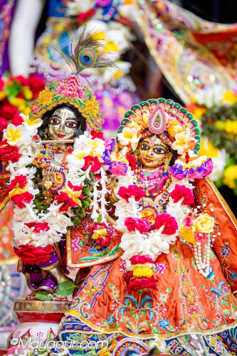 Daily Darshan