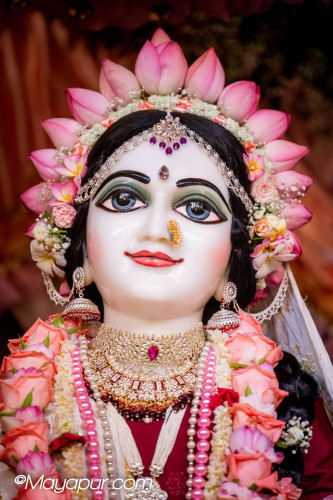 Daily Darshan