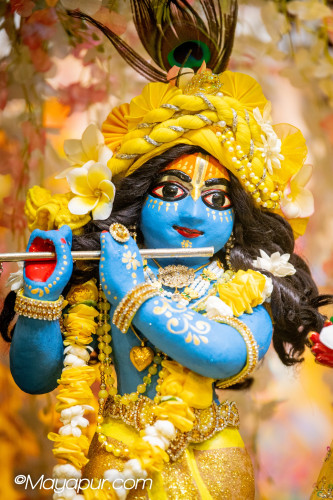 Daily Darshan