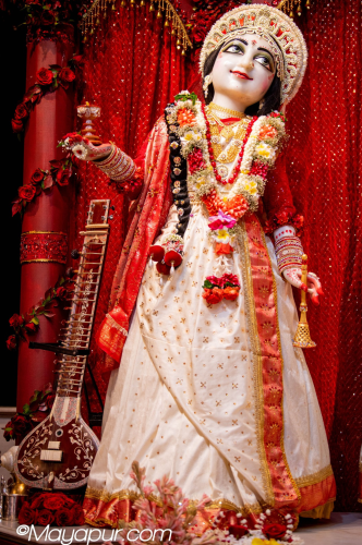 Daily Darshan