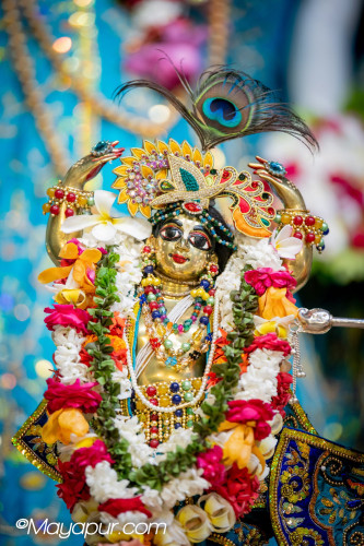 Daily Darshan