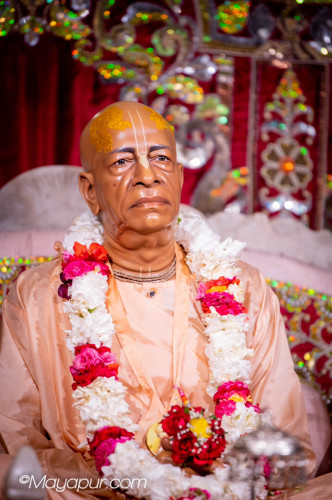 Daily Darshan