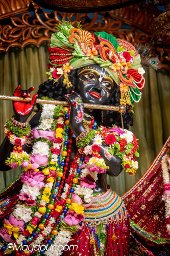 Daily Darshan