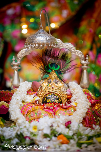 Daily Darshan