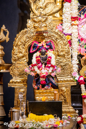 Daily Darshan