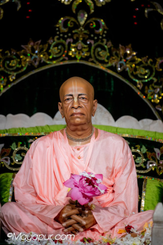Daily Darshan