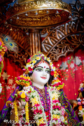 Daily Darshan