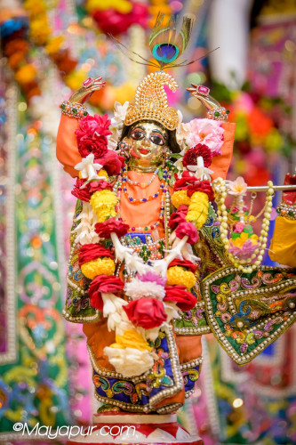 Daily Darshan