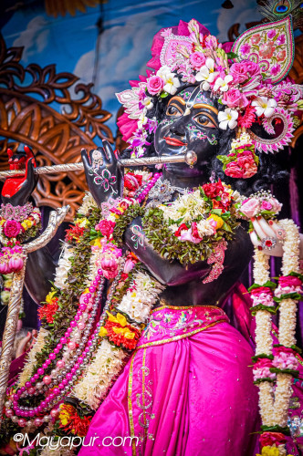 Daily Darshan