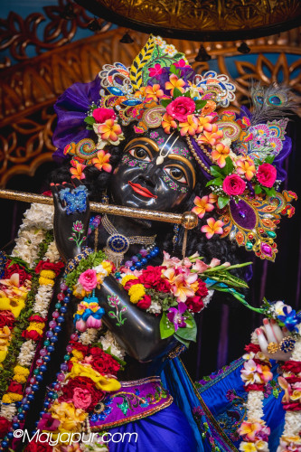 Daily Darshan