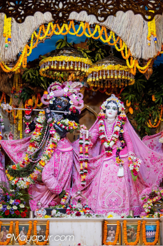 Daily Darshan