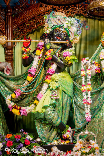Daily Darshan