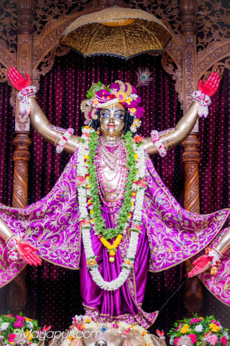 Daily Darshan