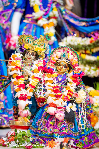 Daily Darshan