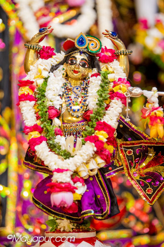 Daily Darshan