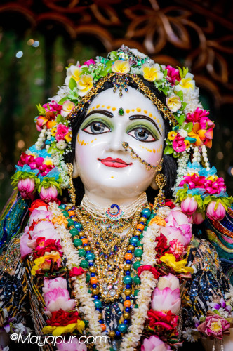 Daily Darshan