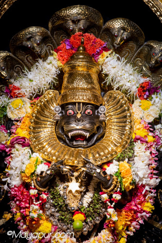 Daily Darshan