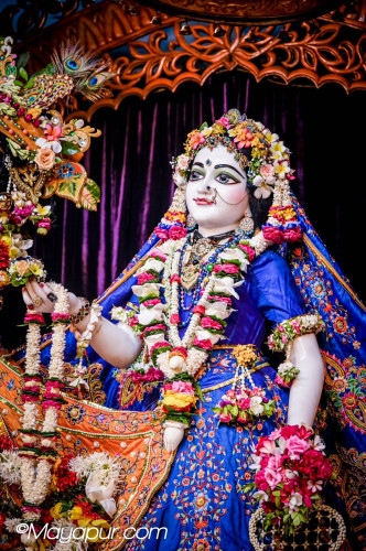 Daily Darshan