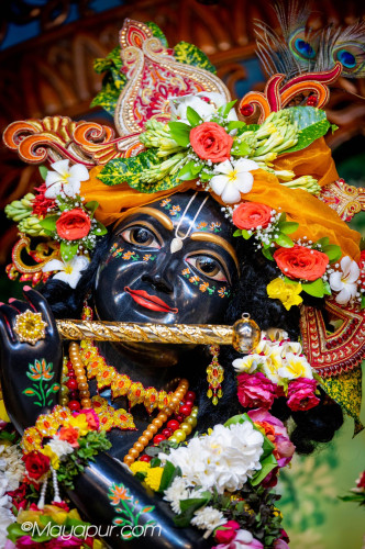Daily Darshan