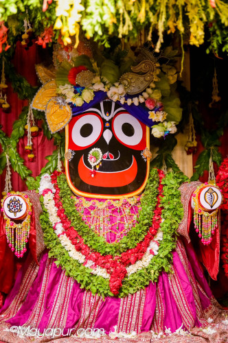 Daily Darshan