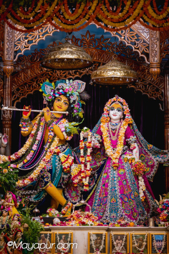 Daily Darshan