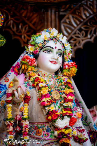 Daily Darshan