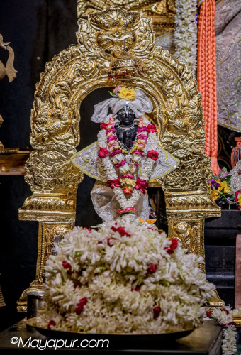 Daily Darshan