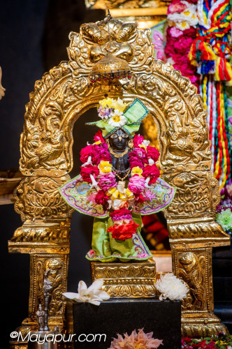 Daily Darshan