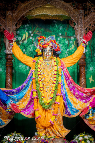 Daily Darshan