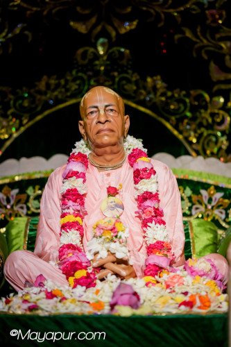Daily Darshan