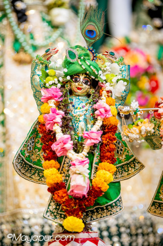 Daily Darshan