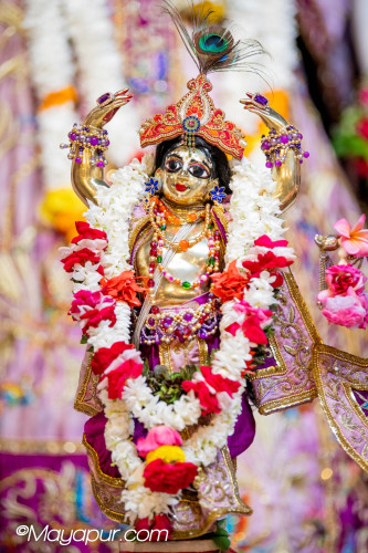 Daily Darshan