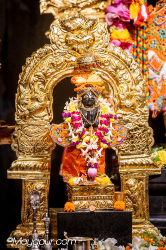Daily Darshan