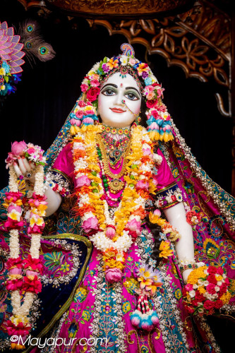 Daily Darshan