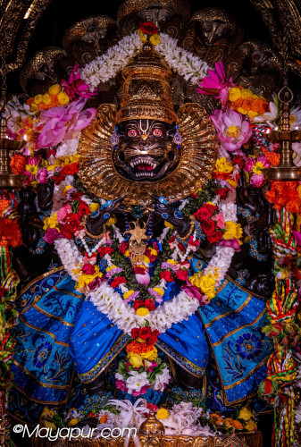Daily Darshan