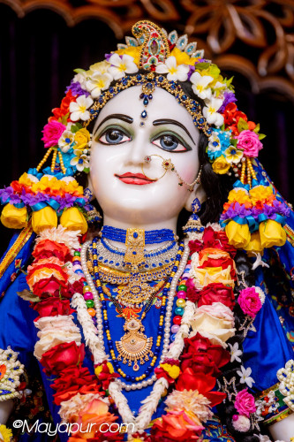 Daily Darshan