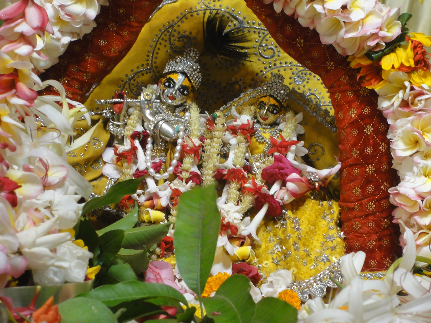 May 7th, 2015 - Chandan yatra Darshan- Day 17 - Mayapur.com