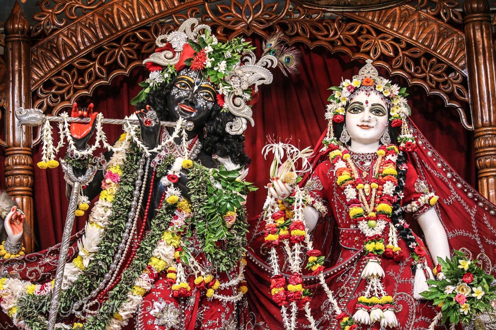 Daily Darshan - October 24th, 2015 - Mayapur.com