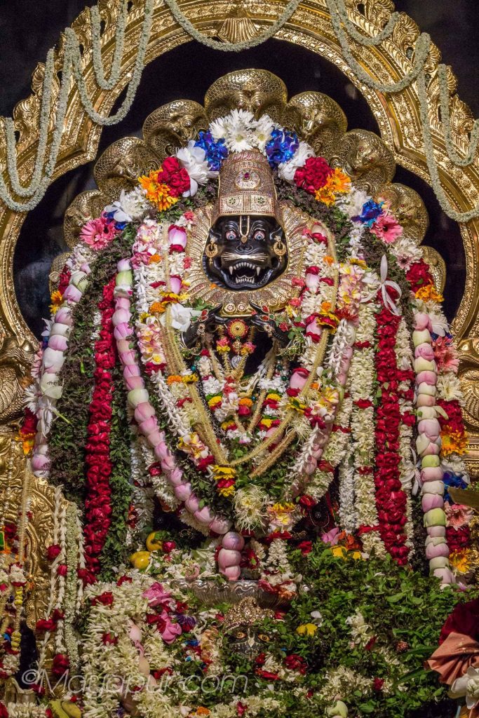 Sri Narasimha Chaturdasi celebrations in Navadvipa | Mayapur.com