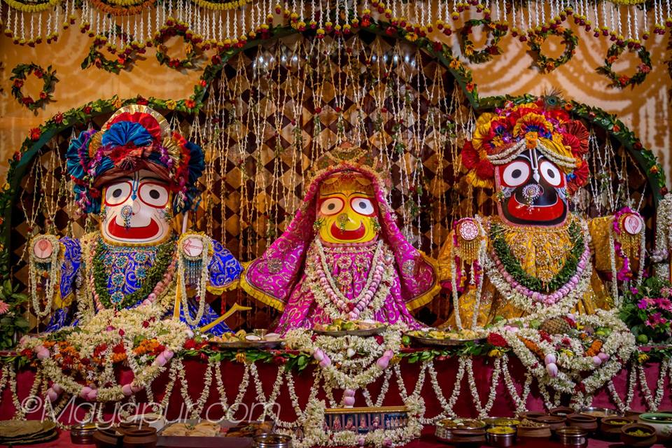 Lord Jagannatha Return! | Mayapur.com